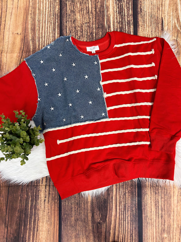 USA Novelty Sweatshirt
