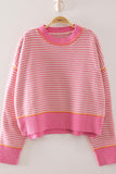 Bailey Trim Stripe Knit Sweater