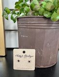 Silver Star Studs