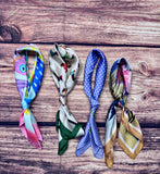 Colorful Wildrags