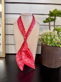 Bandana Print Twillys