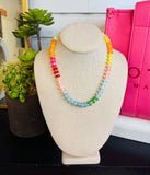 Rainbow Multi Saucer Bead Necklace