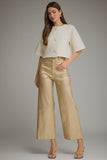 Ainsely Solid Mettalic Pants