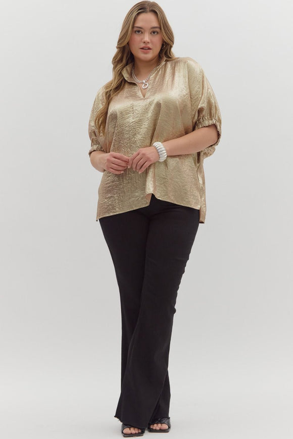 Vanessa Metallic Top-Curvy