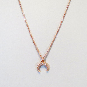 Taylor Rhinestone Horn Necklace